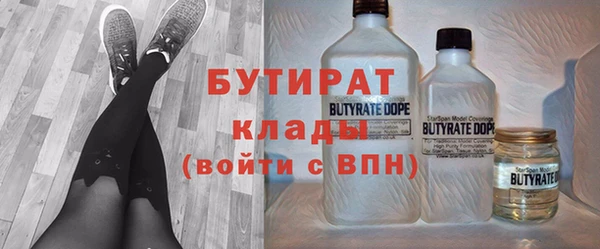 индика Алексин
