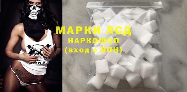 индика Алексин