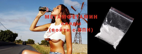 индика Алексин