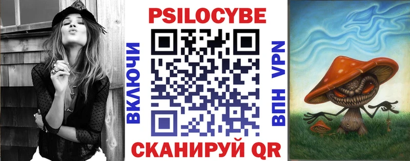 Псилоцибиновые грибы Cubensis  Шатура 