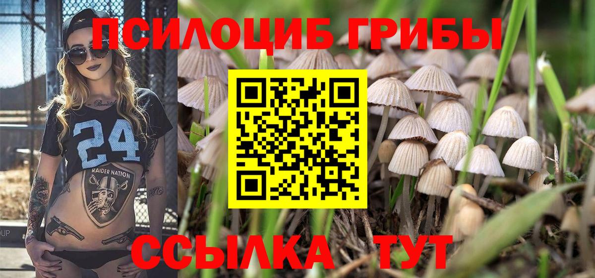 Галлюциногенные грибы GOLDEN TEACHER Шатура